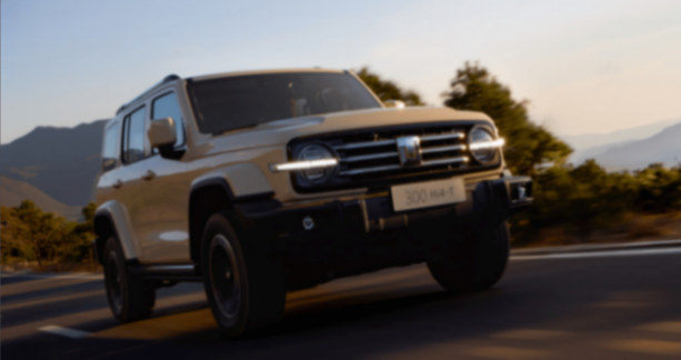 从平替到国民越野 长城坦克如何用4年改写中国越野市场格局?