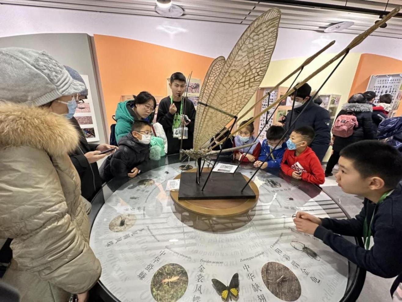 听讲解、看标本、体验互动装置,农大昆虫博物馆让孩子着迷