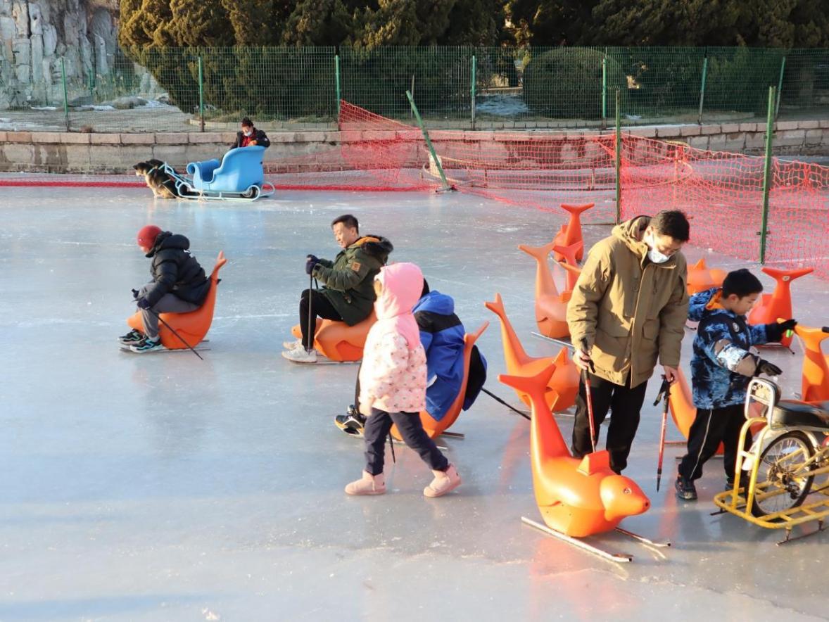 “滑”向新一年!市民龙潭公园乐享雪趣