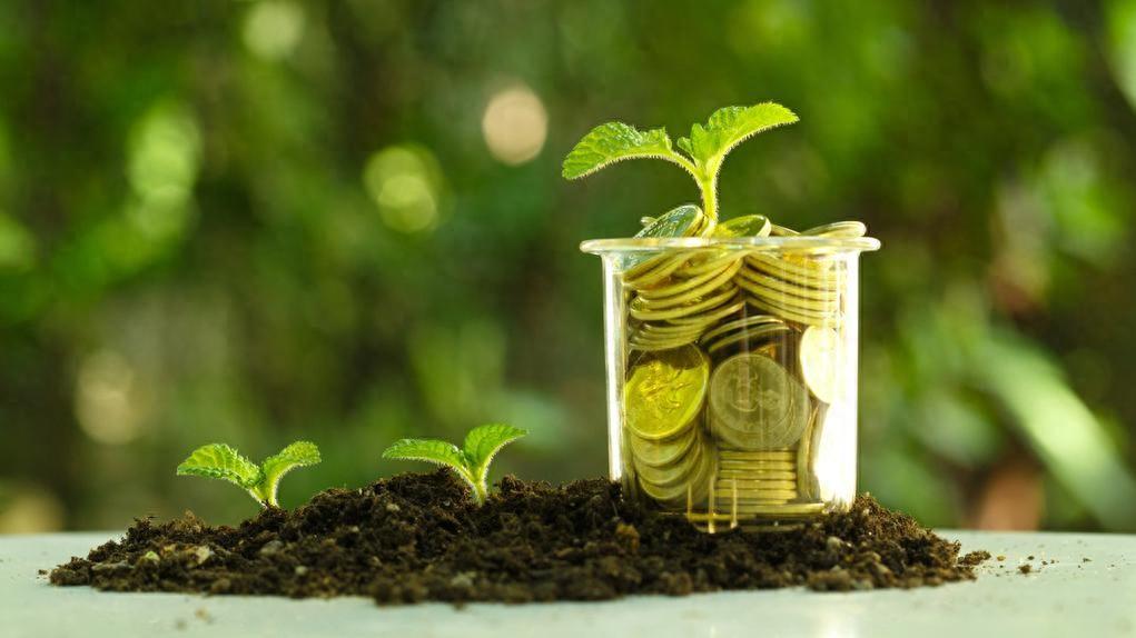 基金、主权债,欧洲金融支持绿色产业新招频出