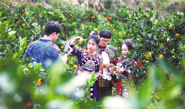 透析直播带货:为何能逆势成长?如何实现持续发展?