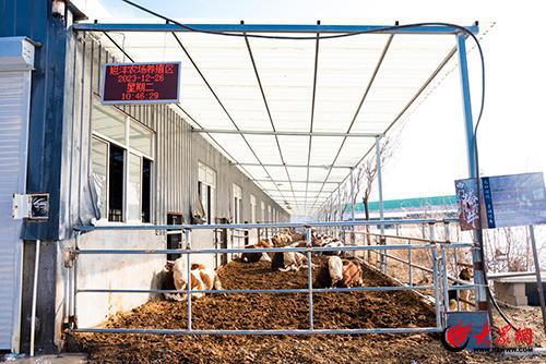 绿色循环 变废为宝!淄博经开区这家“国字号”生态农场出圈了