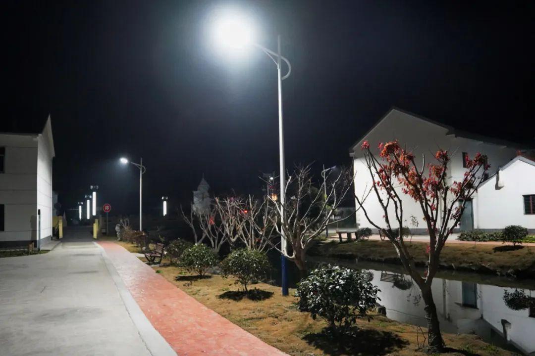 从亮到“靓”!乡村夜景上新→