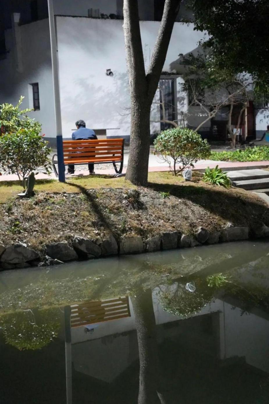 从亮到“靓”!乡村夜景上新→