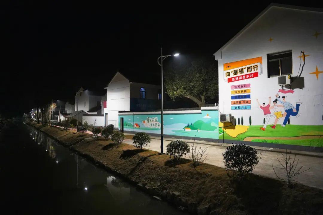 从亮到“靓”!乡村夜景上新→