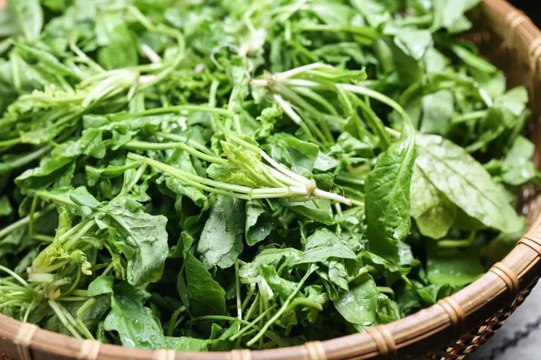 冬天晒太阳,胜过喝参汤!学会这些技巧,养生效果事半功倍