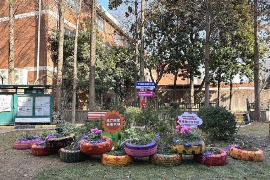 “党建 网格”!杨浦这个居民区打通基层治理“新脉络”