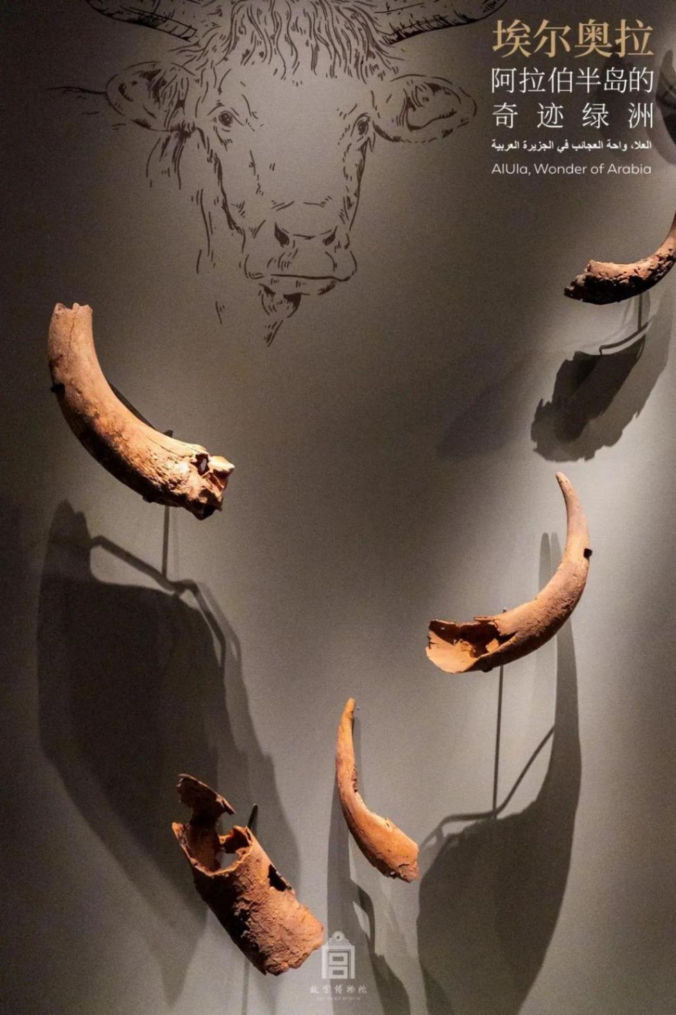 故宫2024新展:沙特文物讲述阿拉伯半岛的奇迹绿洲