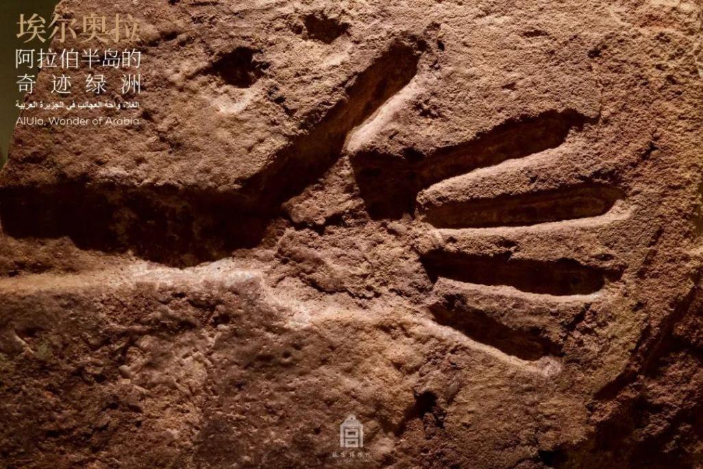 故宫2024新展:沙特文物讲述阿拉伯半岛的奇迹绿洲