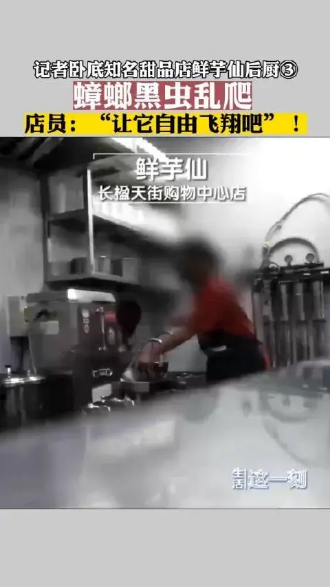 记者卧底鲜芋仙:后厨虫子自由飞翔