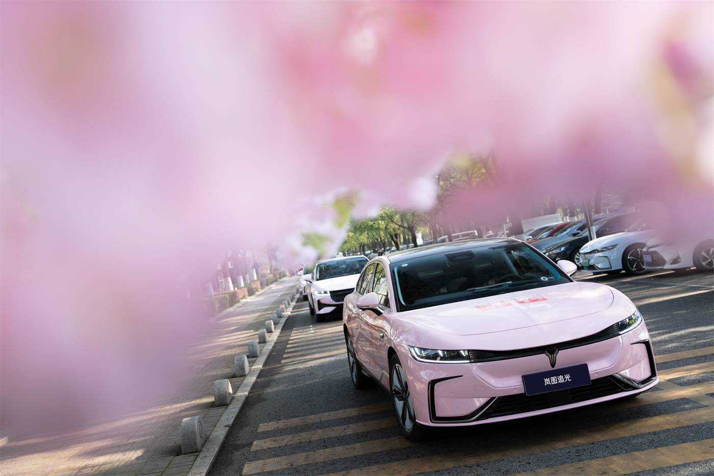 在浪漫武汉,偶遇专属樱花座驾